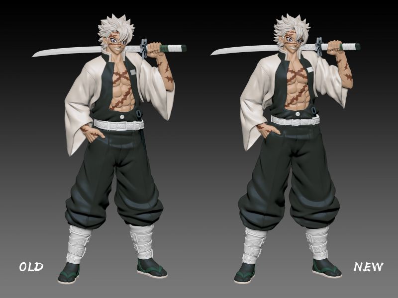 Wind Hashira Shinazugawa Sanemi