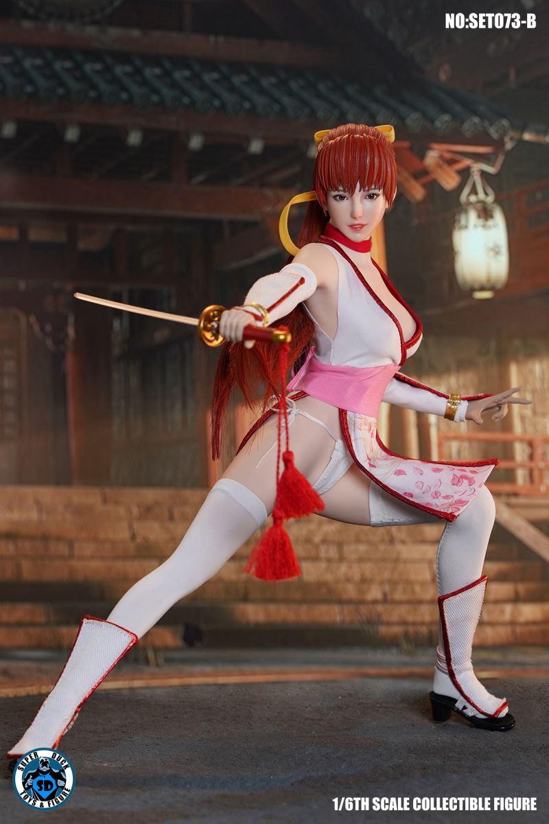 Sexy Ninja 1/6