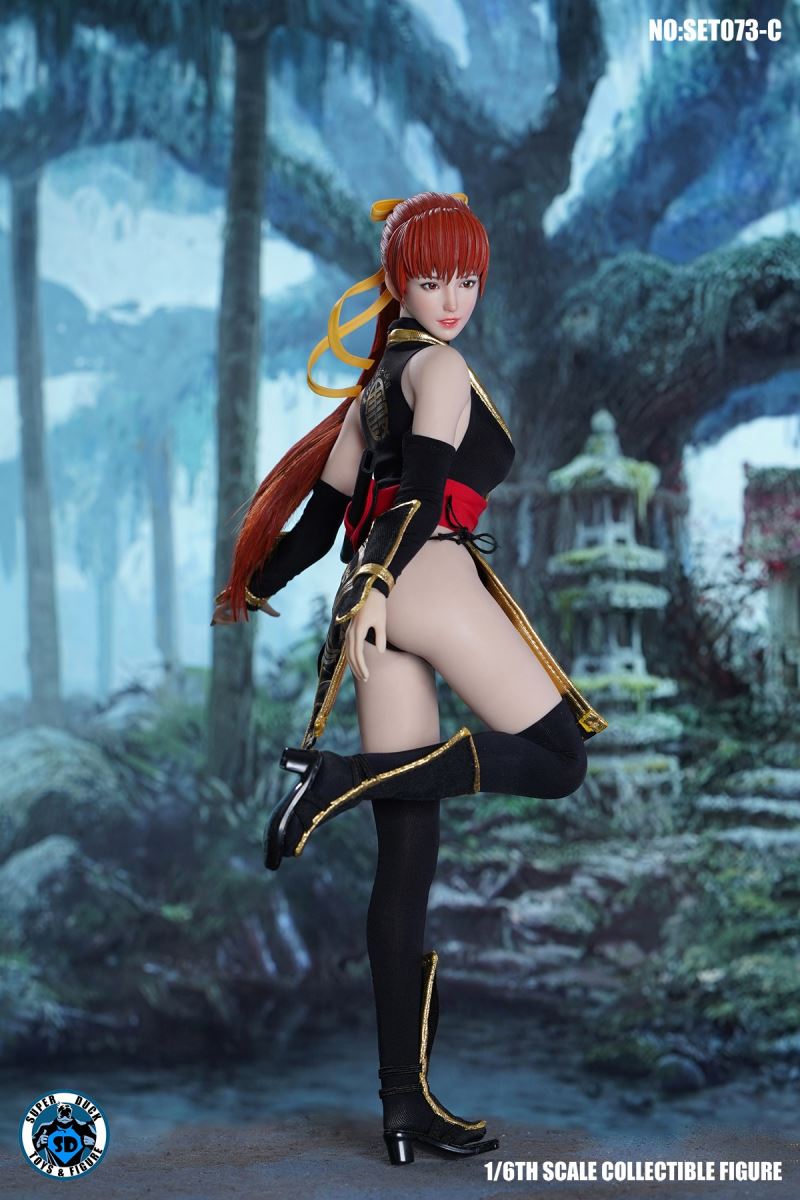 Sexy Ninja 1/6