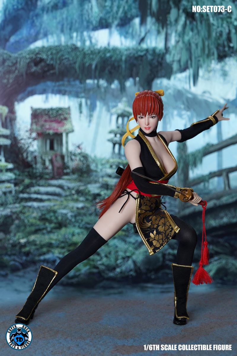 Sexy Ninja 1/6
