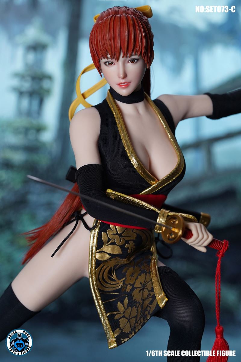 Sexy Ninja 1/6