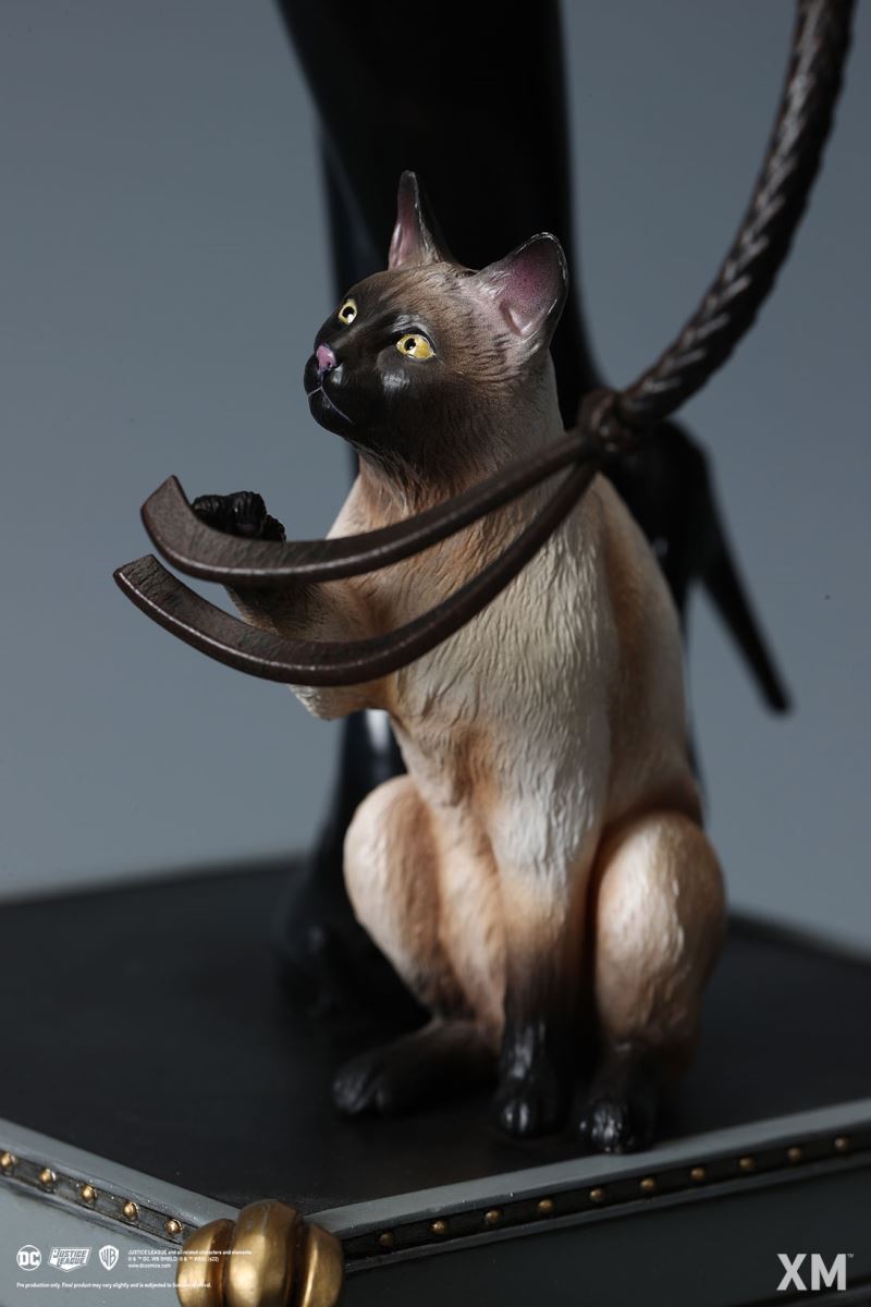 Catwoman 1/6 ~ 1/4