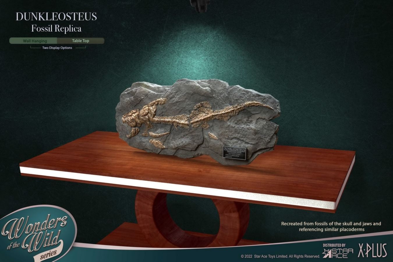 Dunn's Fish and Fish Fossil