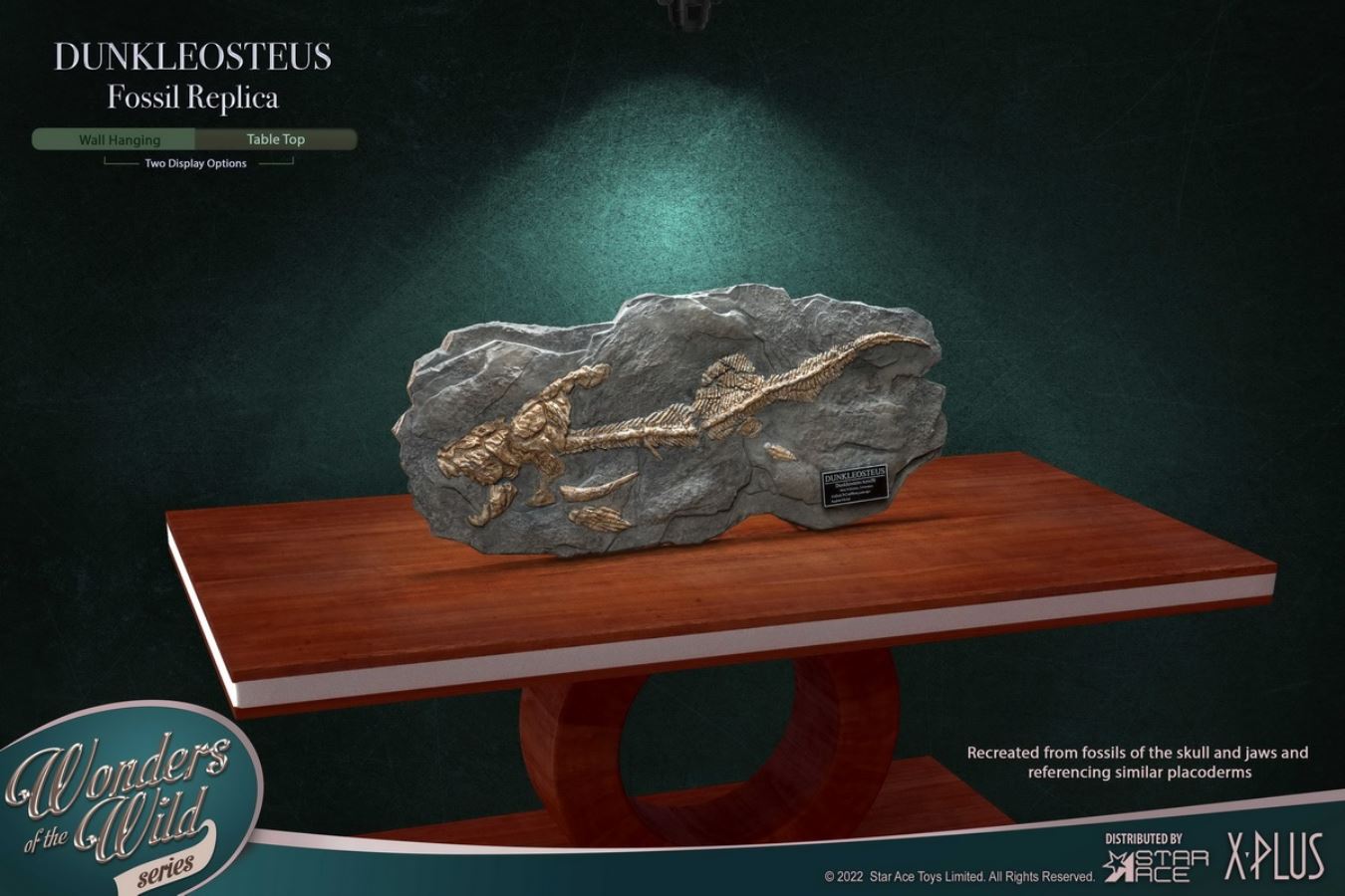 Dunn's Fish and Fish Fossil