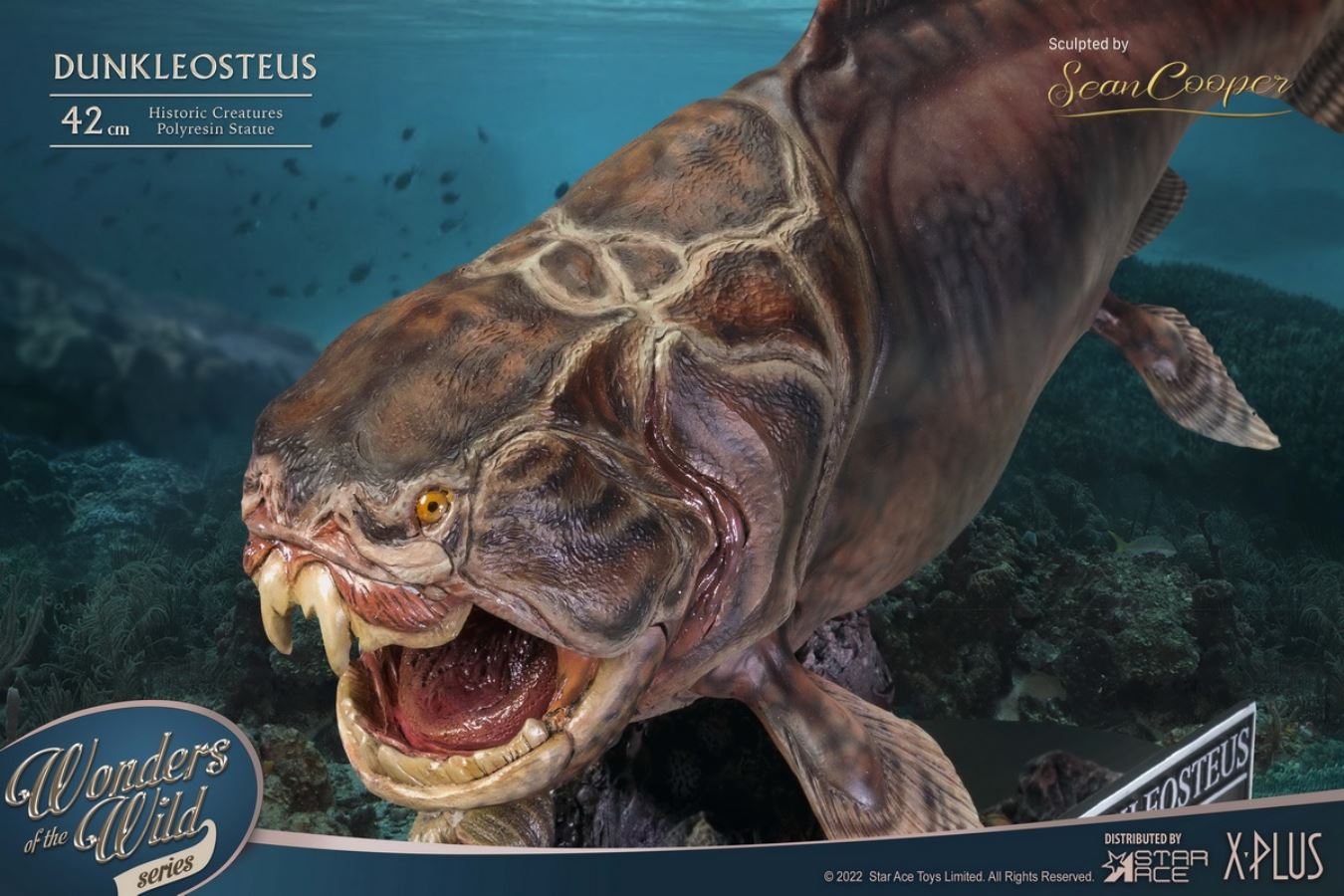 Dunn's Fish and Fish Fossil