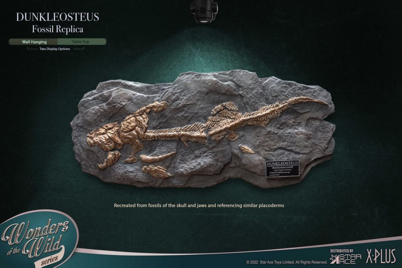 Dunn's Fish and Fish Fossil