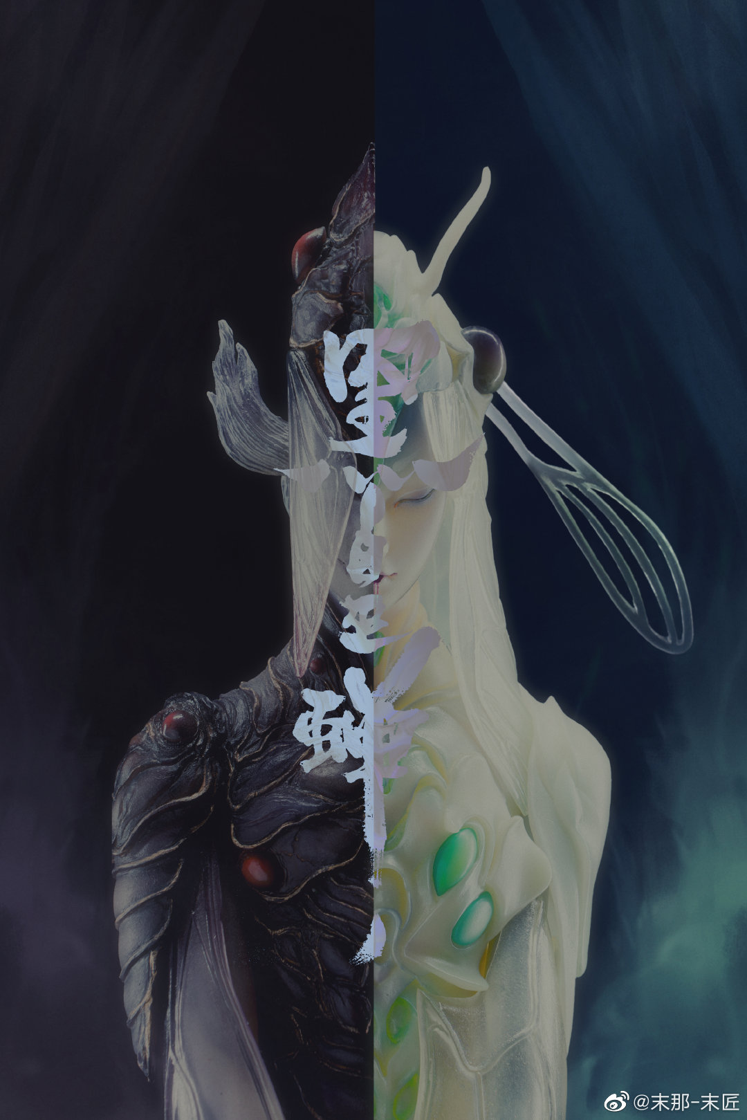 Black and White Witch Cicada