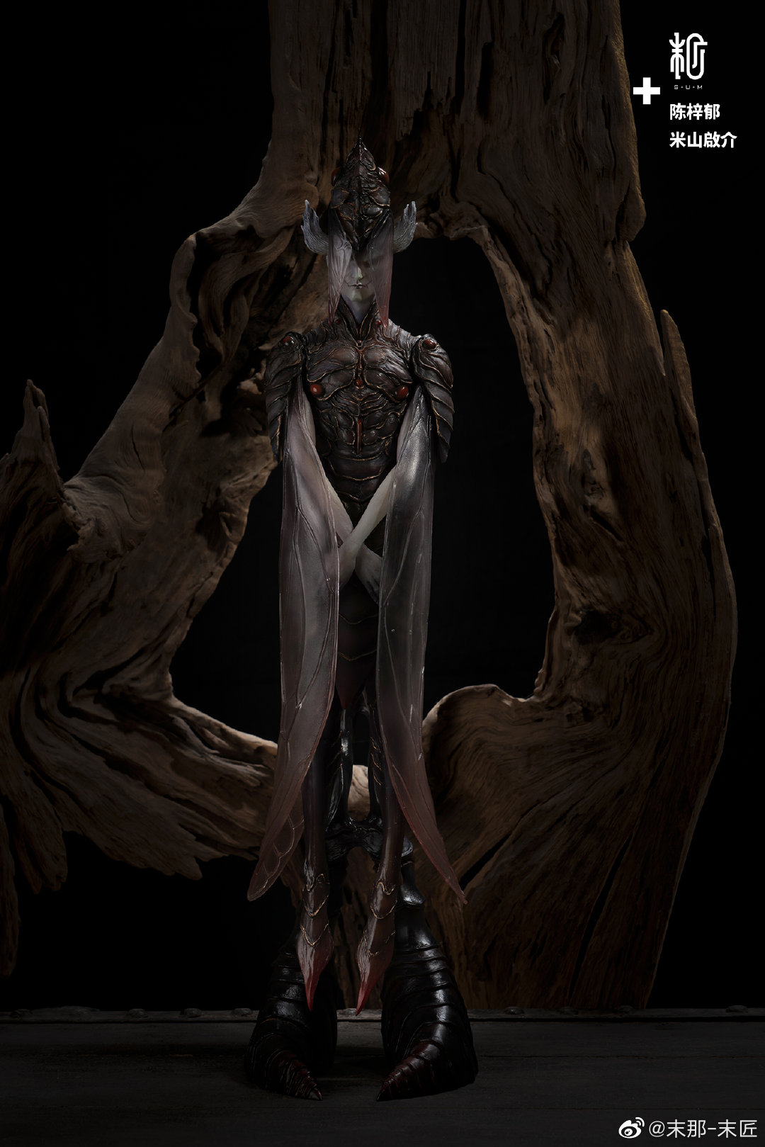 Black and White Witch Cicada