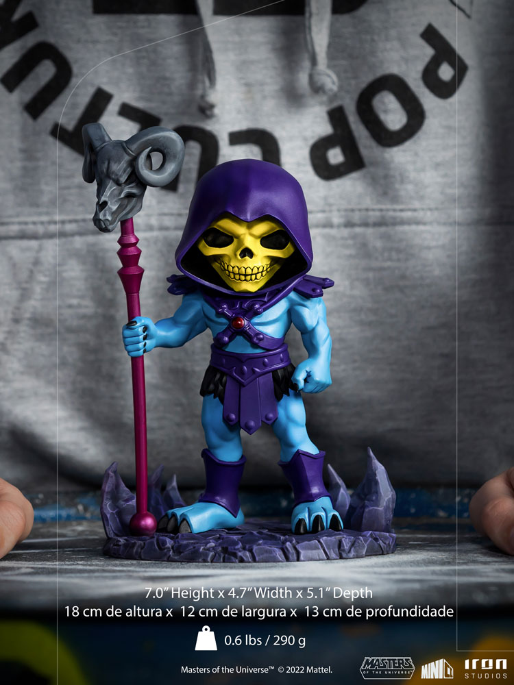 Skeletor Mini Co.
