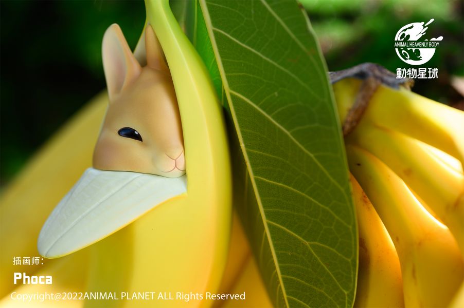 Banana Rabbit