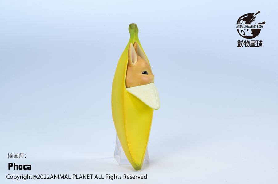 Banana Rabbit