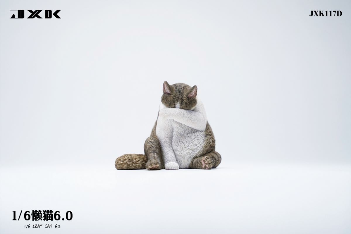 Lazy Cat 6.0 1/6