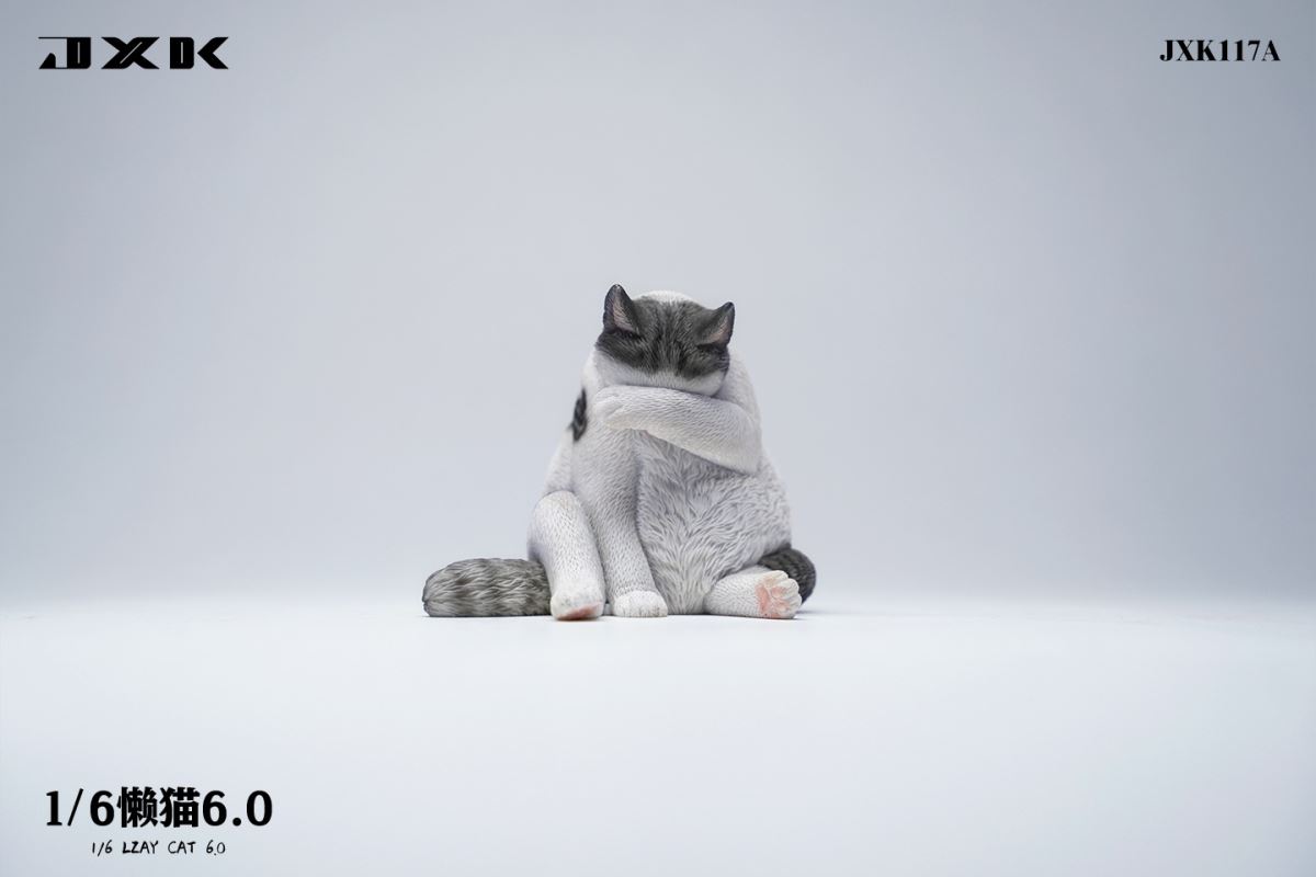 Lazy Cat 6.0 1/6