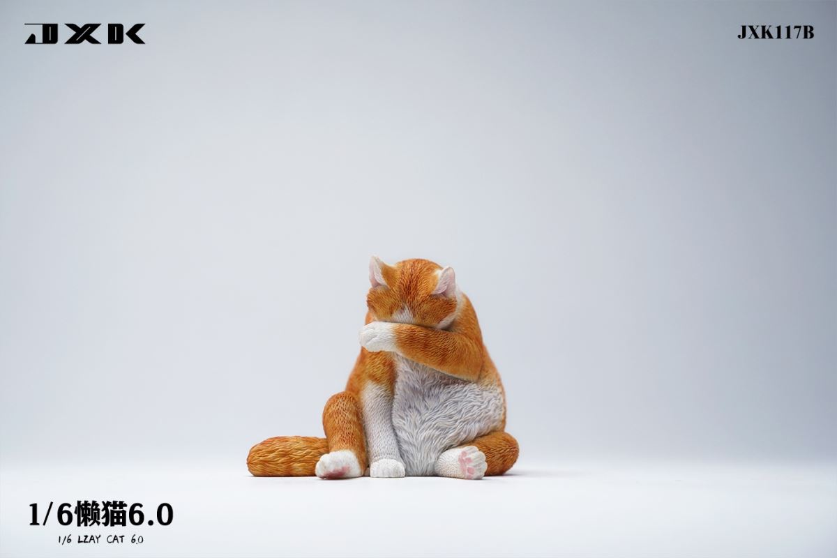 Lazy Cat 6.0 1/6
