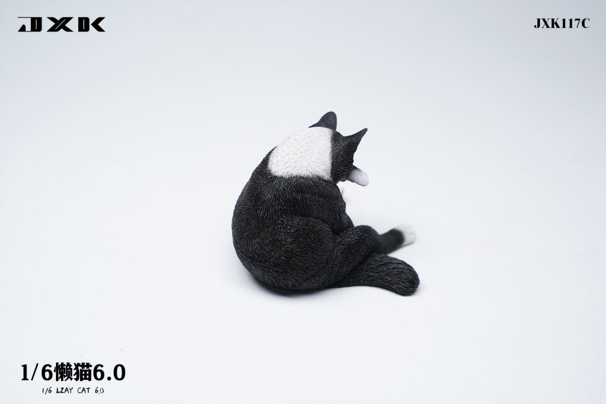 Lazy Cat 6.0 1/6