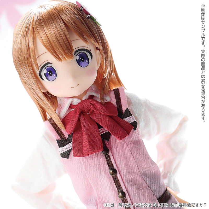 Pure Neemo Character Series 142 Is the order a rabbit? BLOOM Cocoa 1/6