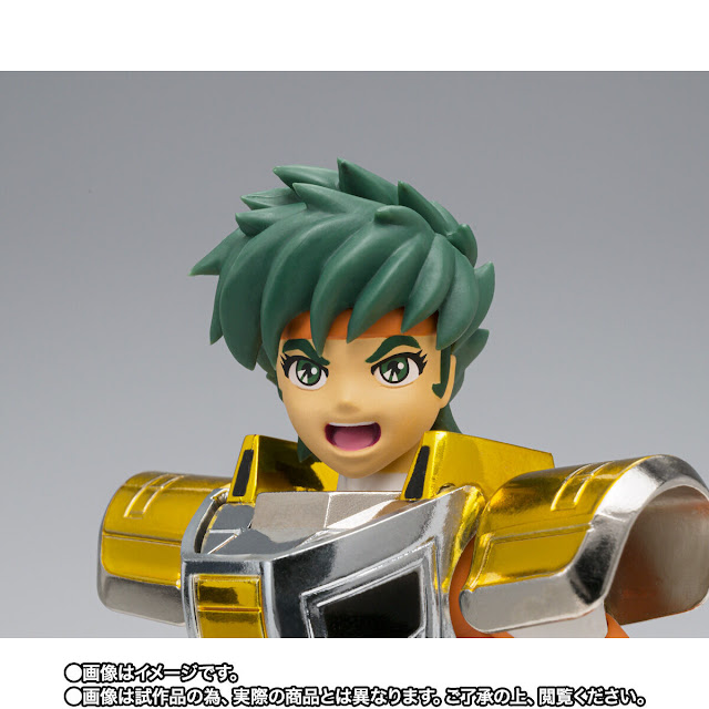Saint Cloth Myth Steel Saint Landcloth Daichi -Revival Version-