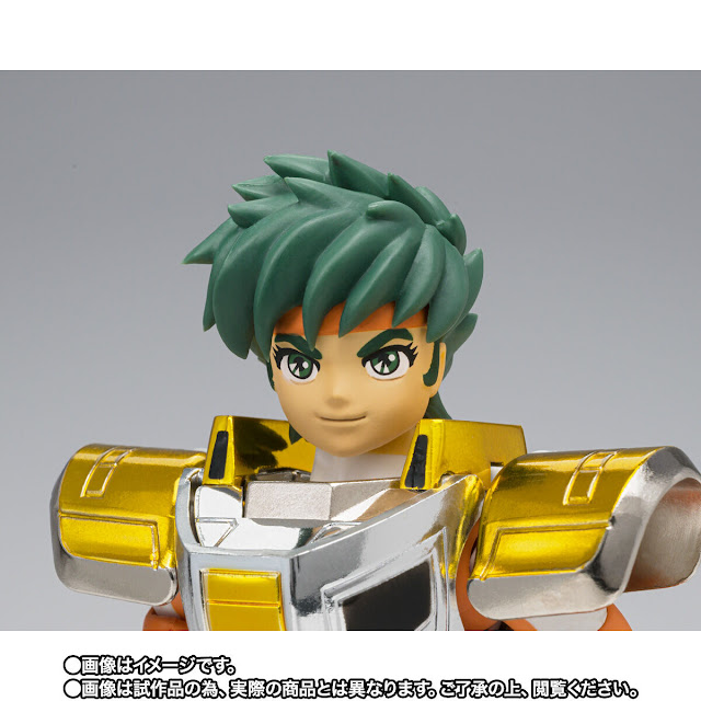 Saint Cloth Myth Steel Saint Landcloth Daichi -Revival Version-
