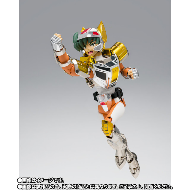 Saint Cloth Myth Steel Saint Landcloth Daichi -Revival Version-