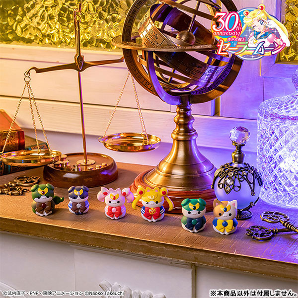 MEGA CAT PROJECT Sailor Moon Sailor Mewn In the name of the moon I will punish mew! 2