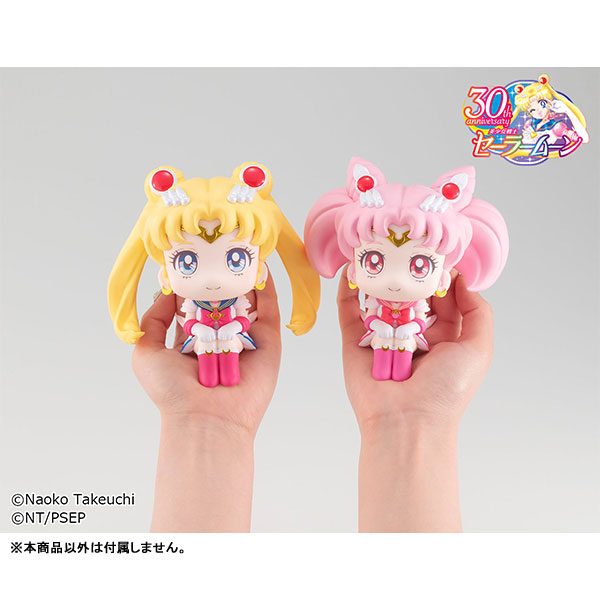 Rukappu Sailor Moon & Chibi Moon - Sailor Moon Eternal