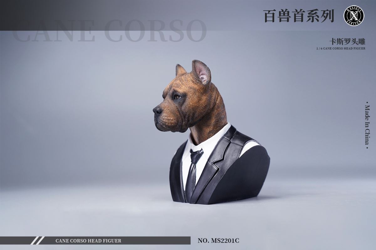 Cane Corso Head Figure 1/6