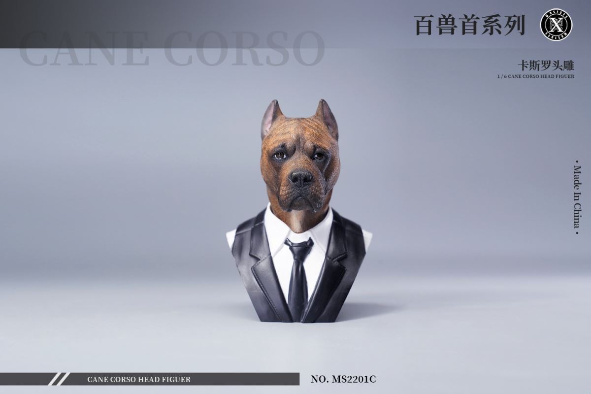 Cane Corso Head Figure 1/6