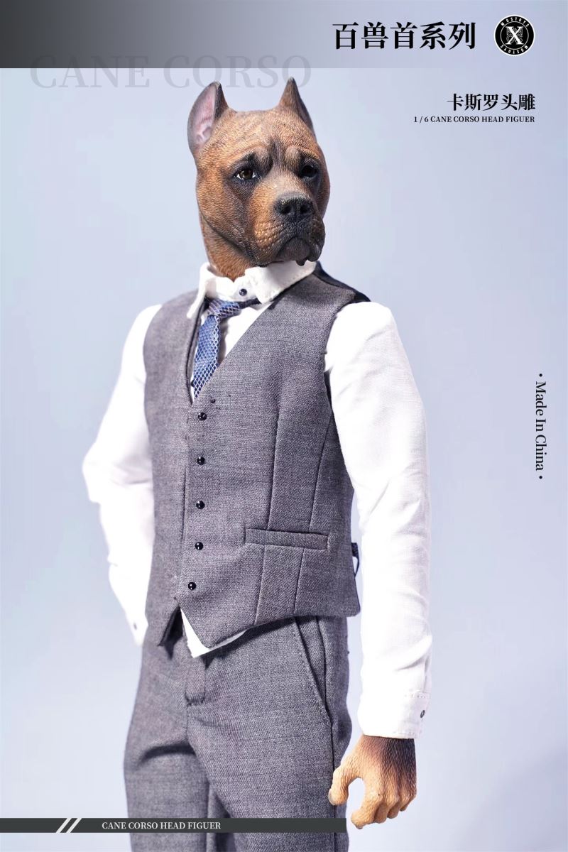 Cane Corso Head Figure 1/6