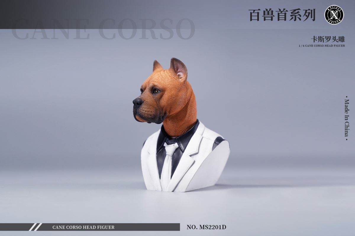 Cane Corso Head Figure 1/6
