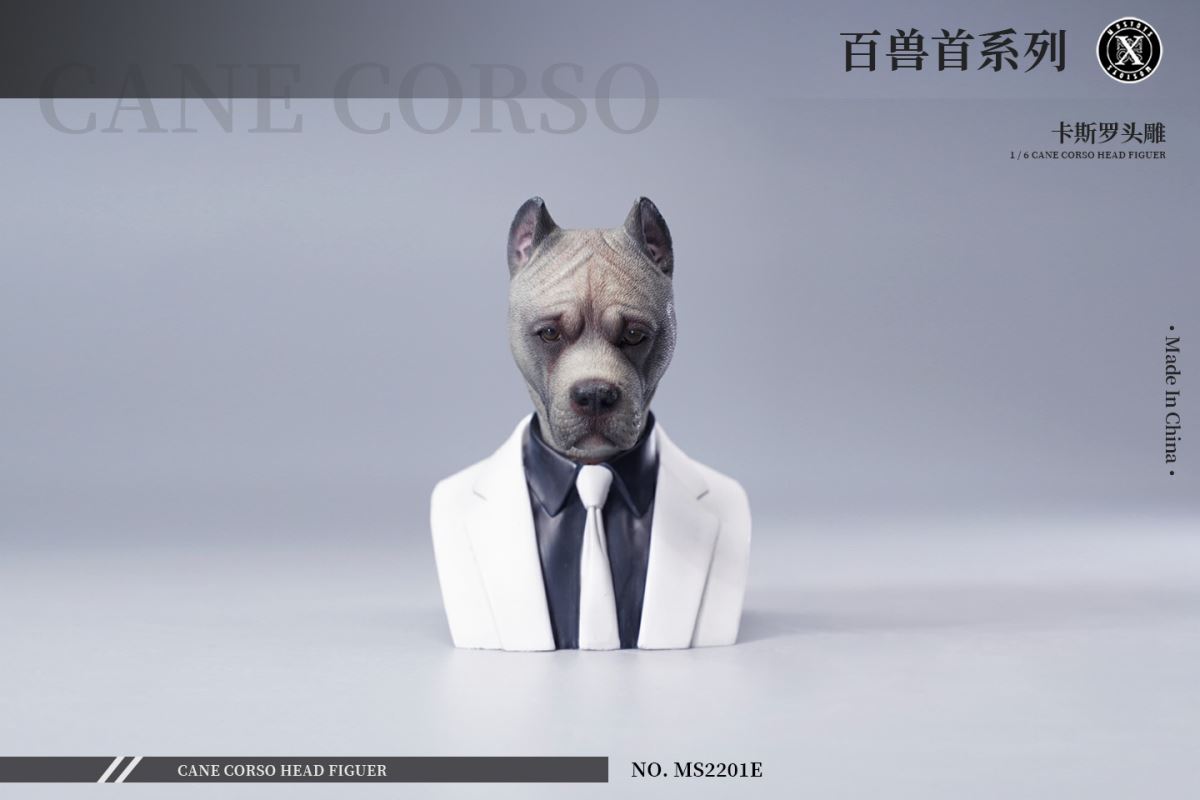 Cane Corso Head Figure 1/6