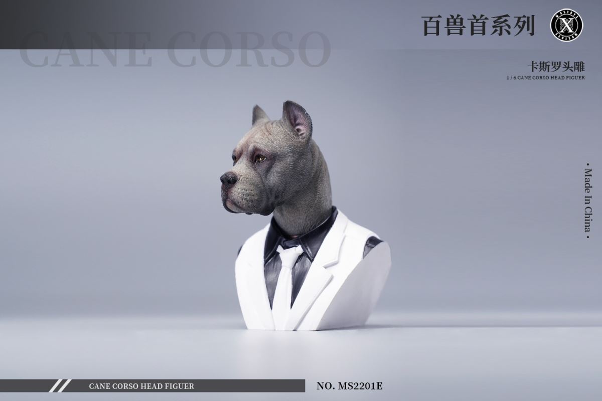 Cane Corso Head Figure 1/6