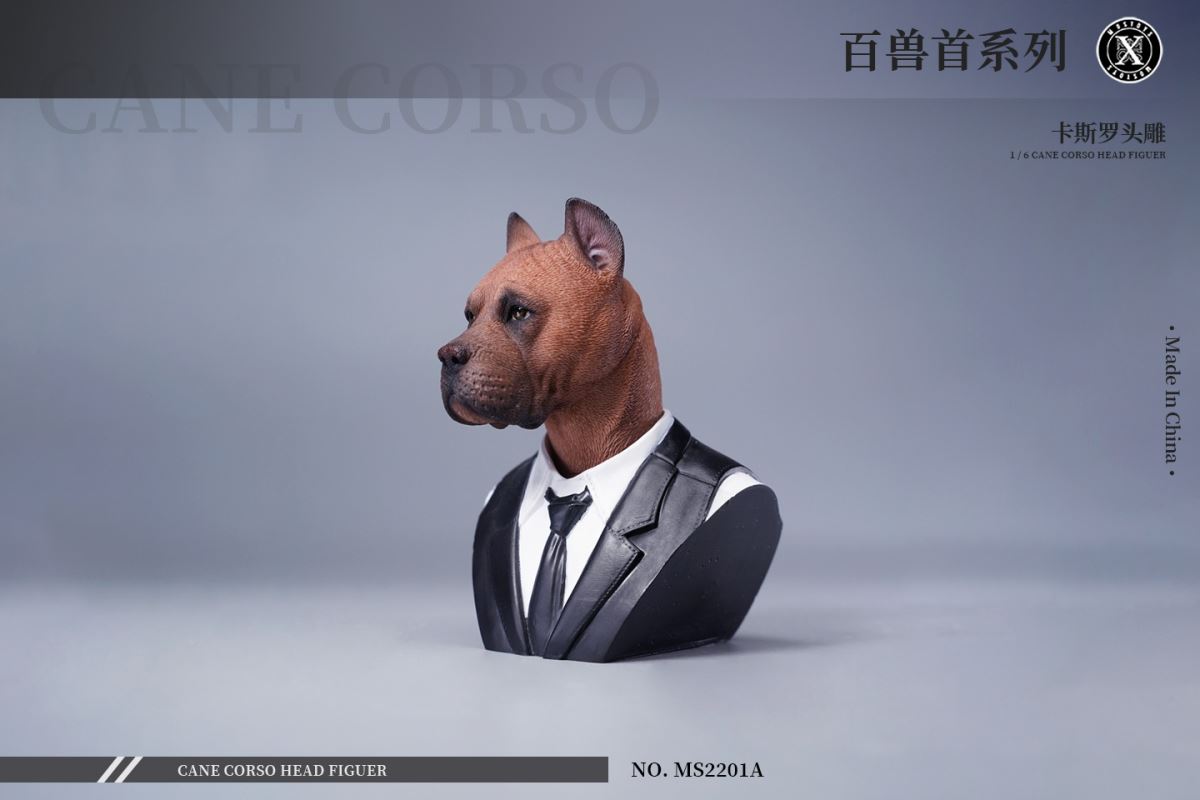 Cane Corso Head Figure 1/6