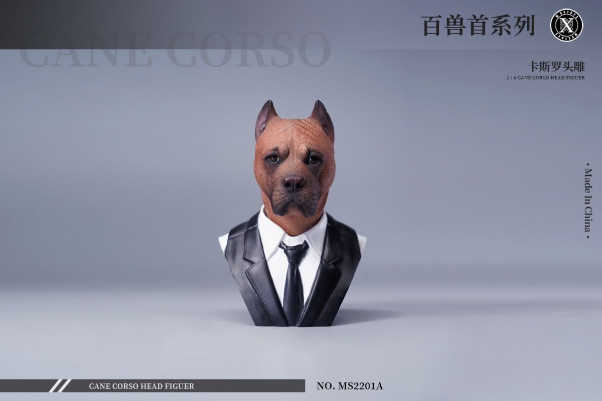 Cane Corso Head Figure 1/6