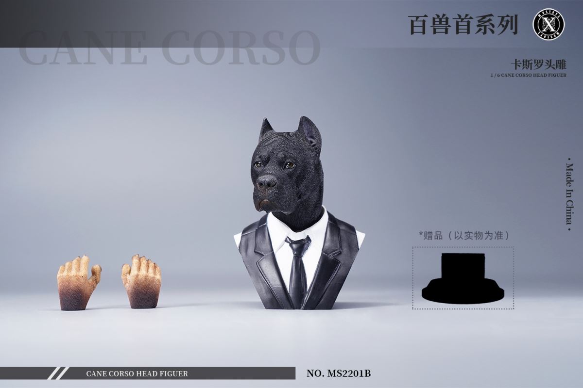 Cane Corso Head Figure 1/6