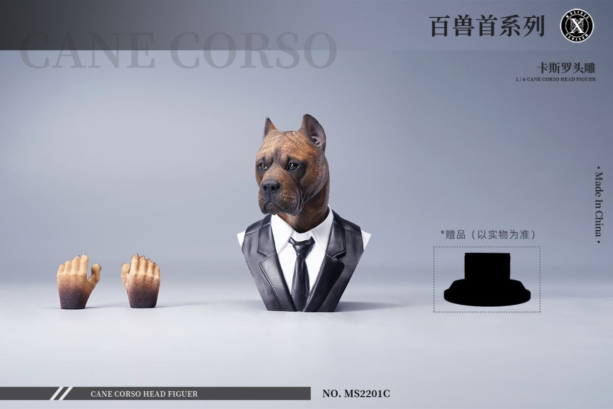 Cane Corso Head Figure 1/6