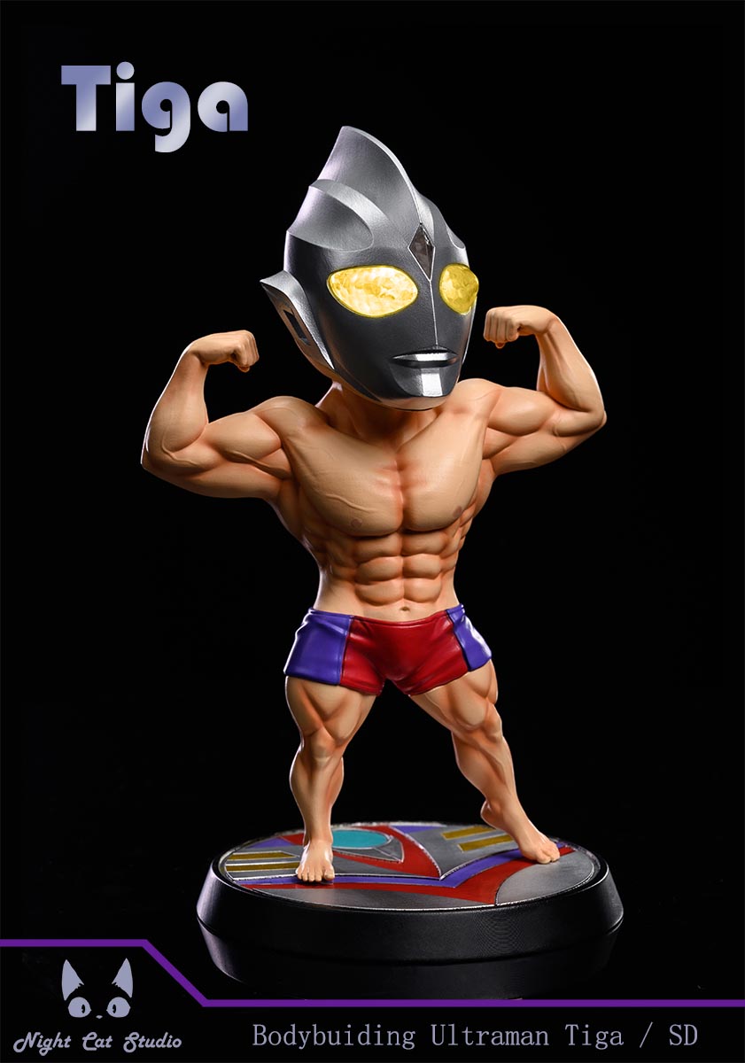 Body Building Ultraman Tiga / Zero
