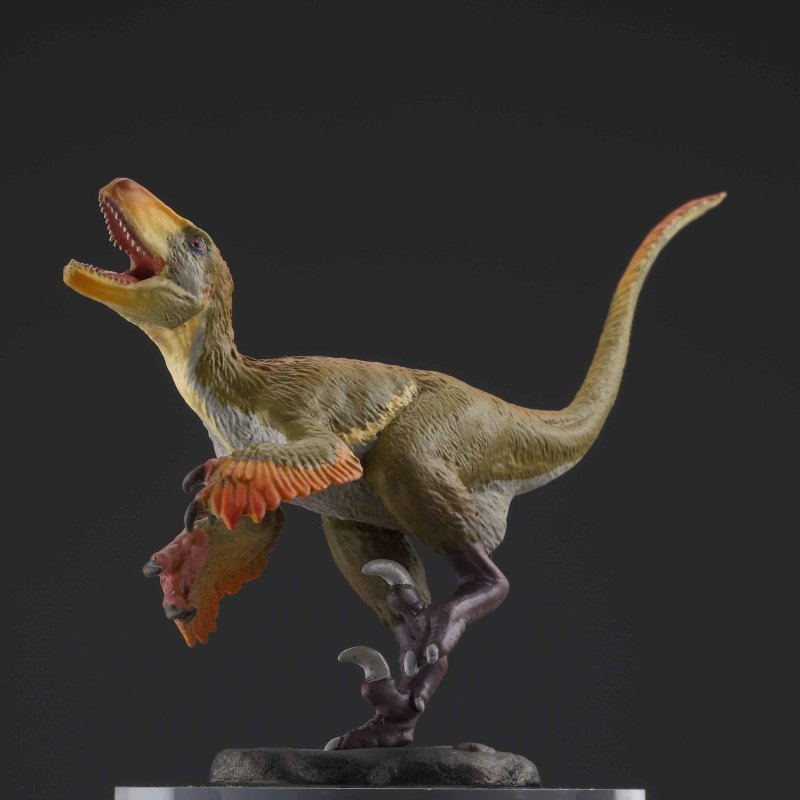 Capsule Q Museum Dinosaur