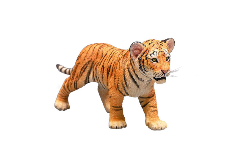 Tiger Kin 1/6