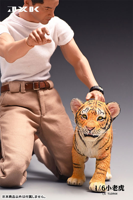 Tiger Kin 1/6