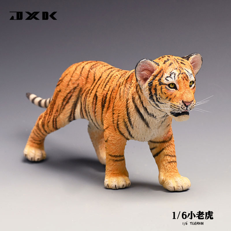 Tiger Kin 1/6