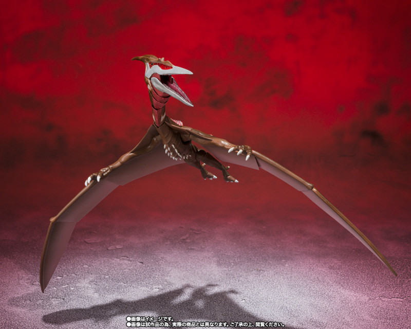 SHMonsterArts Rodan [2021] - The Second Form -