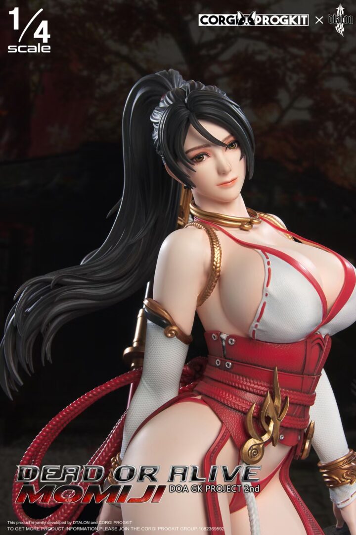 Dead or Alive Momiji