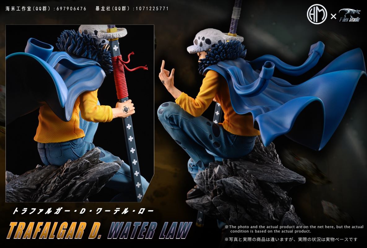 Trafalgar D. Water Law - One Piece