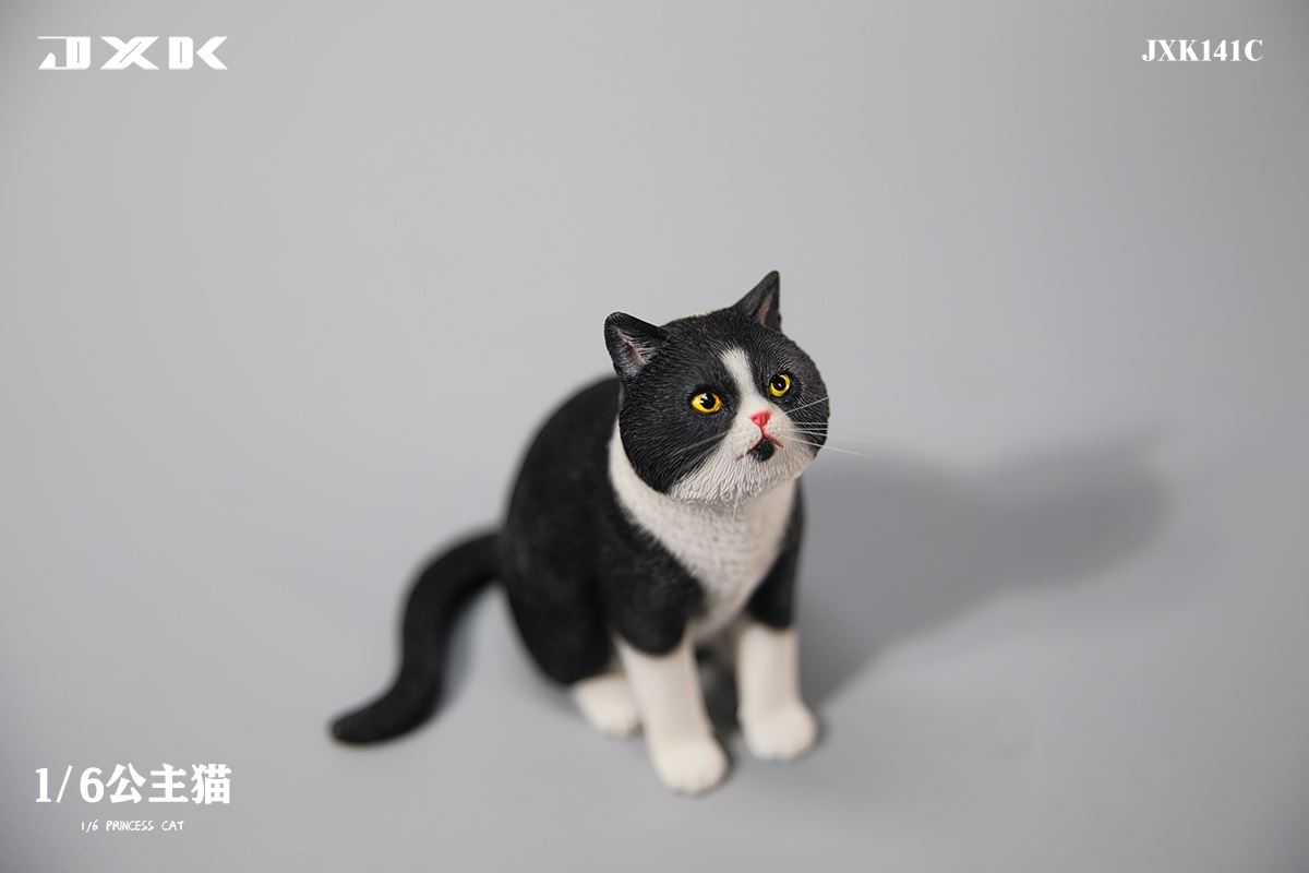 Princess Cat 1/6