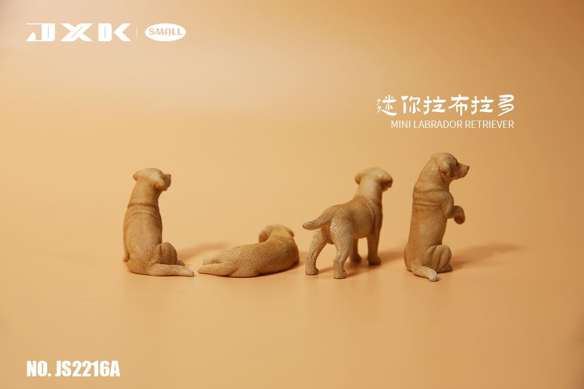 Mini Shiba Inu / Labrador