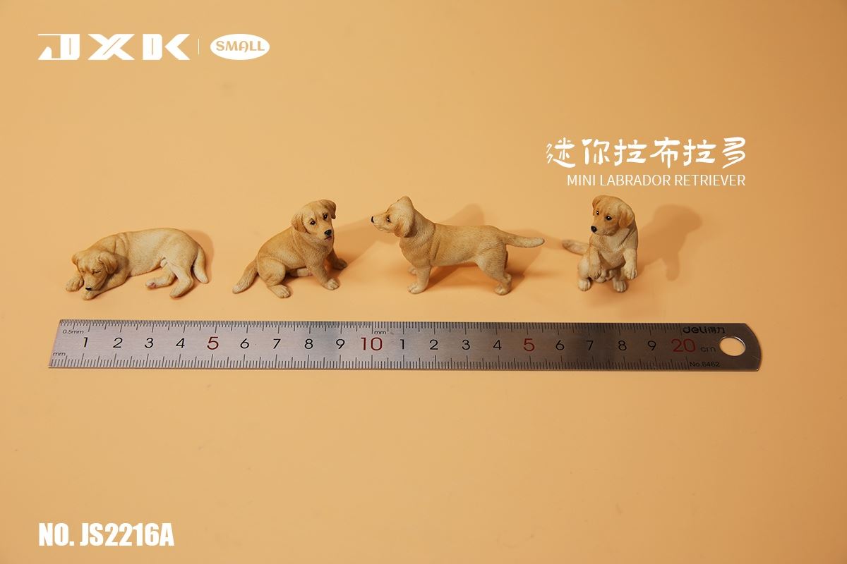 Mini Shiba Inu / Labrador
