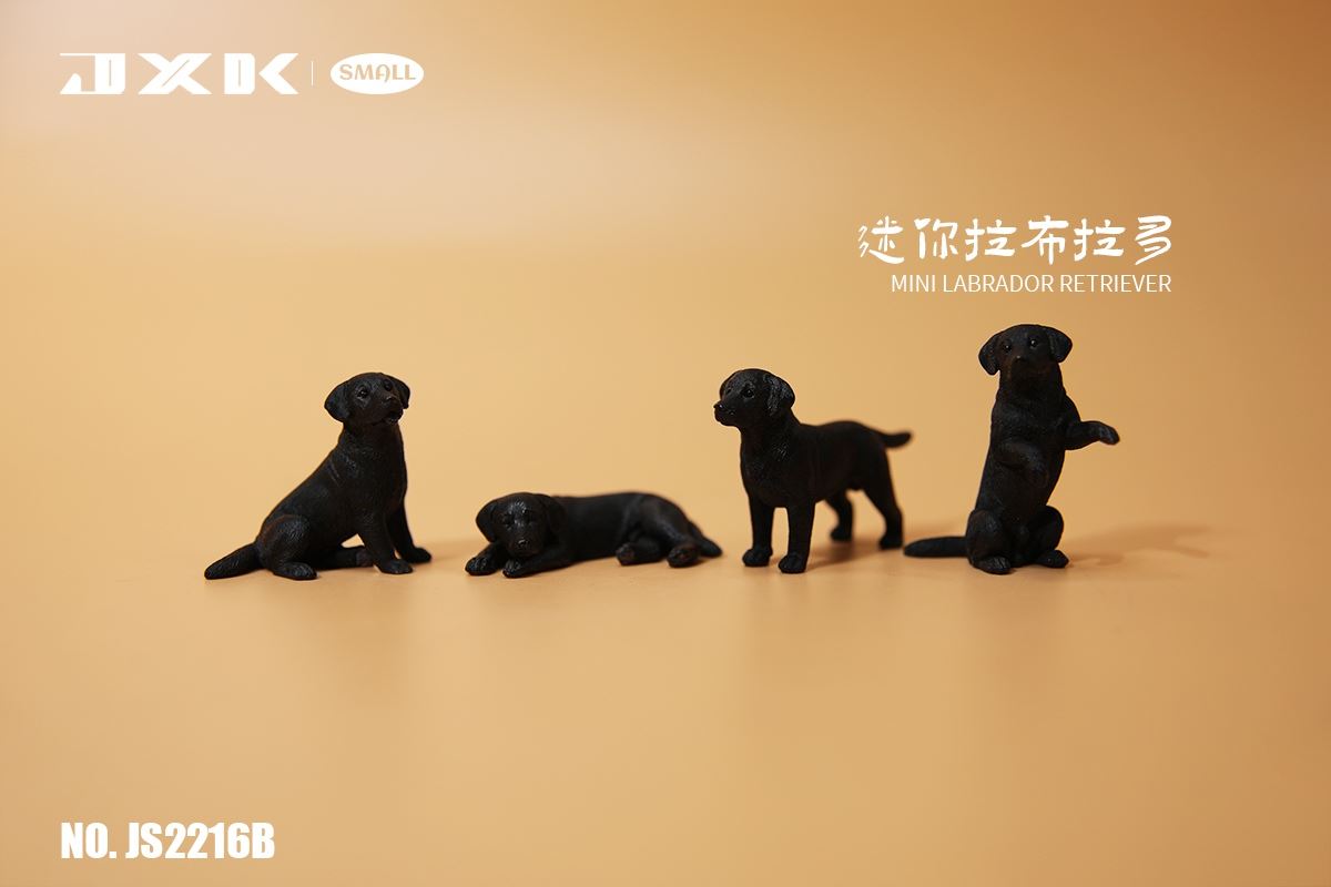 Mini Shiba Inu / Labrador