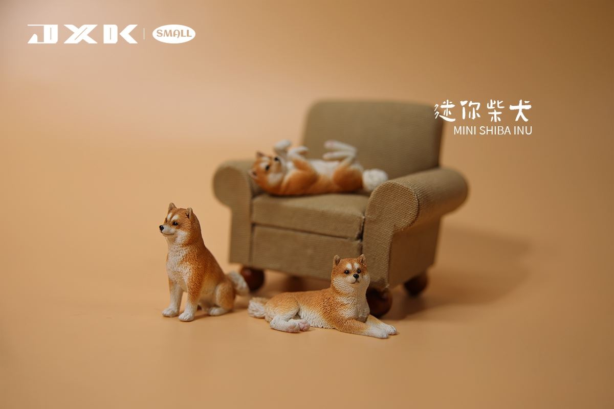 Mini Shiba Inu / Labrador