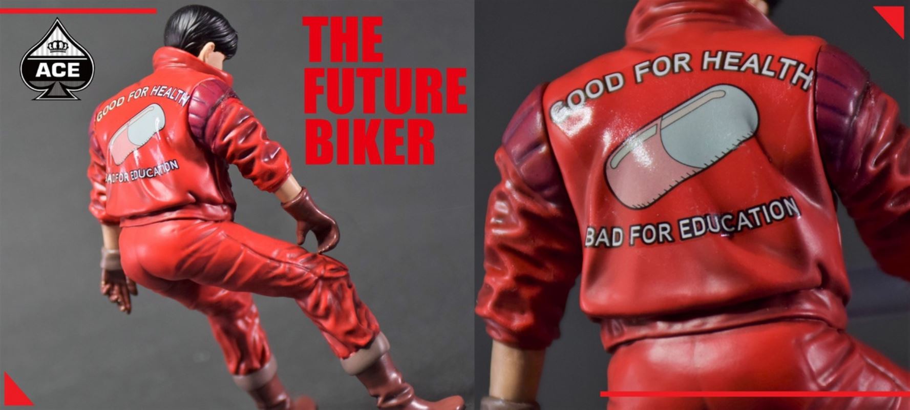 The Future Motorcycle & Biker 1/15