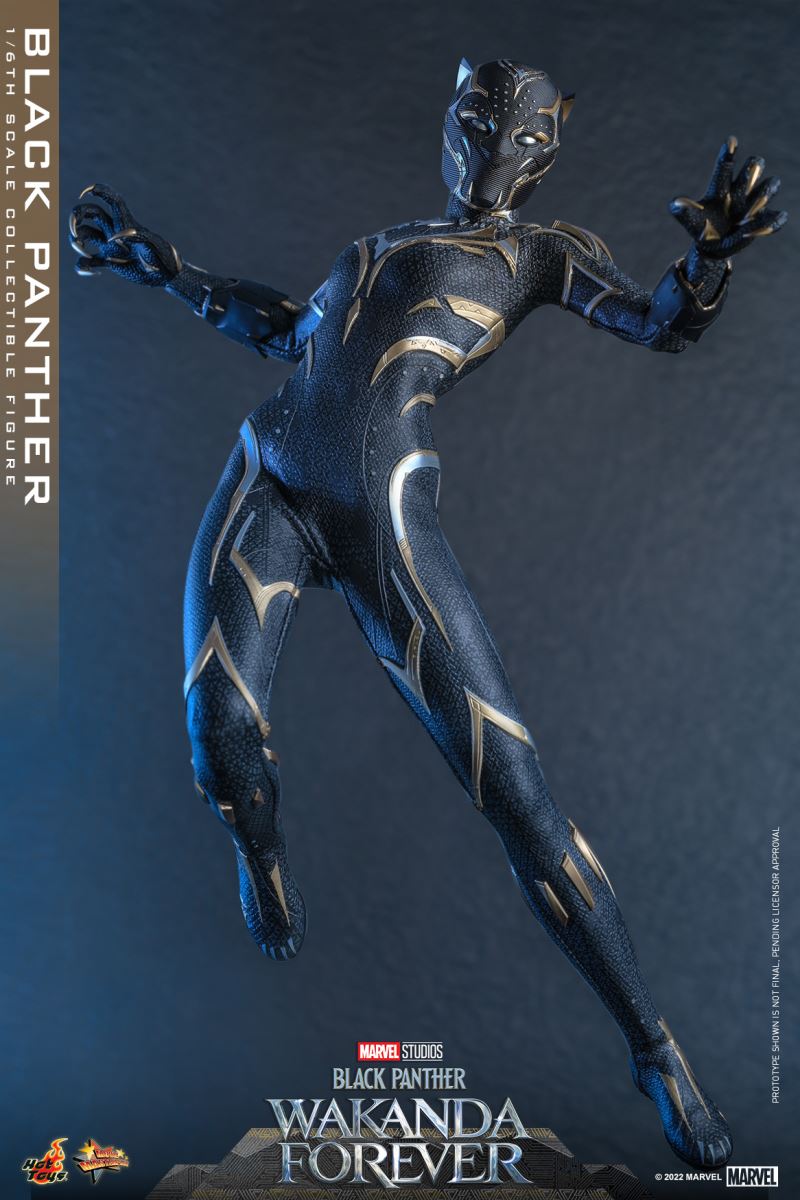 Black Panther - Black Panther 2: Long Live Wakanda 1/6